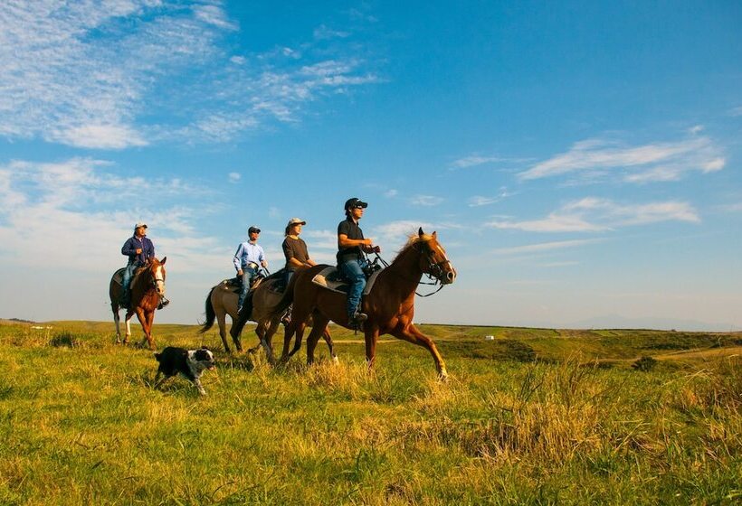 پانسیون El Patio Ranch