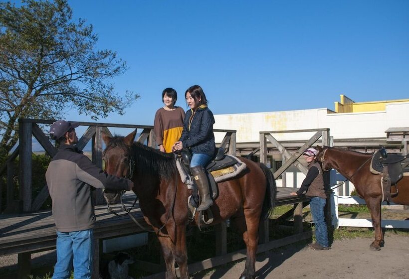پانسیون El Patio Ranch