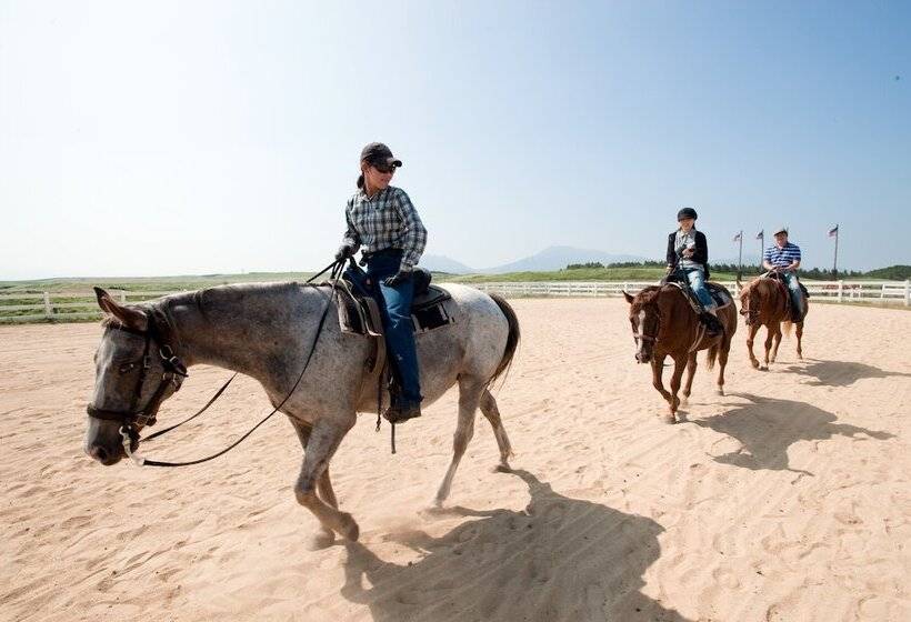 پانسیون El Patio Ranch