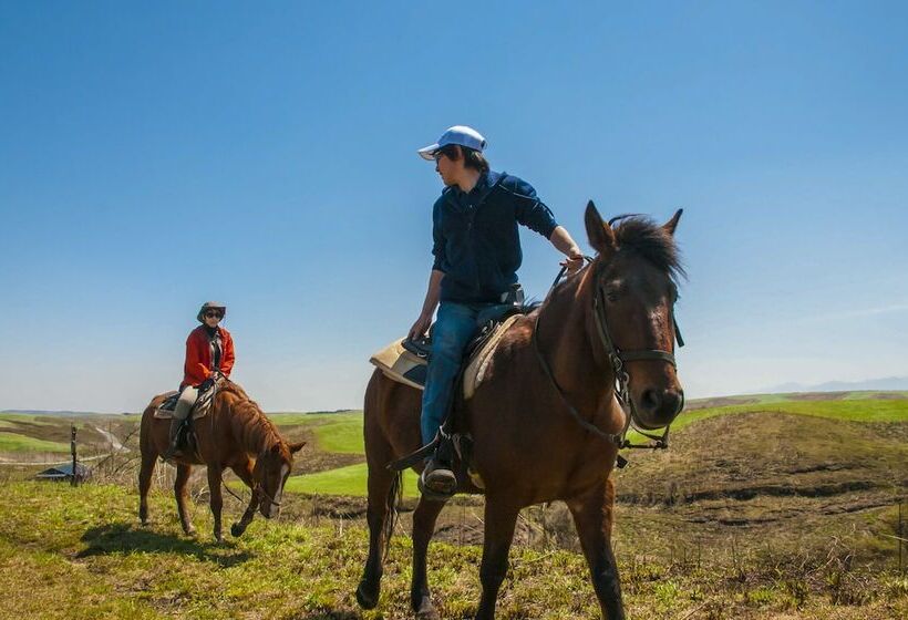 پانسیون El Patio Ranch