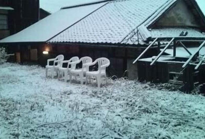 بنسيون Guest House Aloes House   Hostel