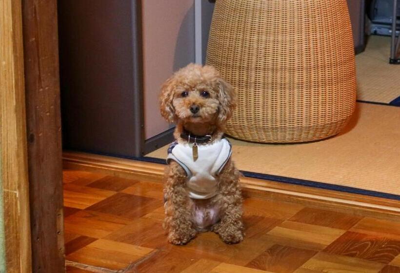 ペンション Guest House Tokiwa