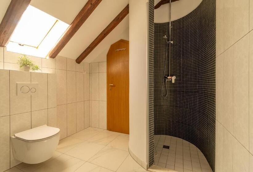 بنسيون B&b Heritage Villa Apolon