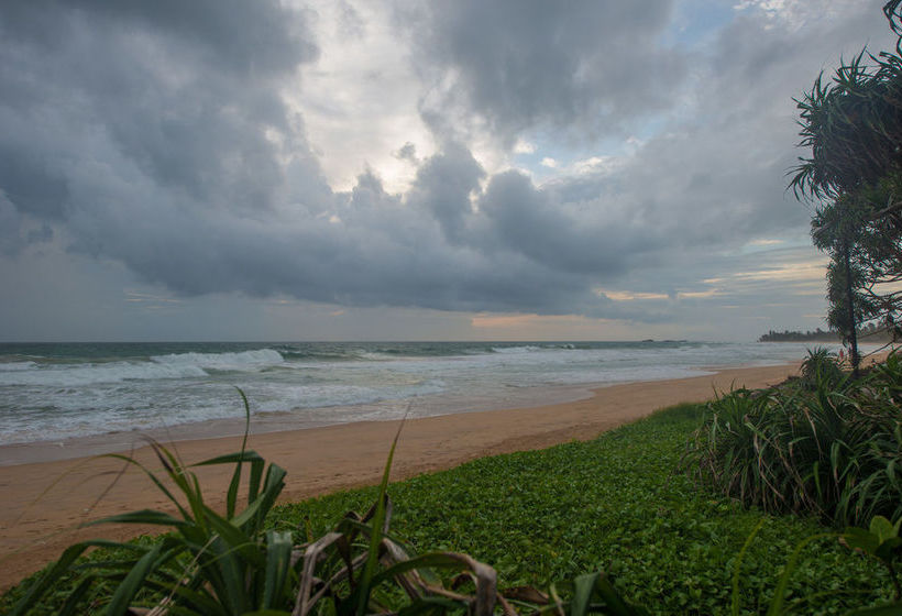 Пансион Taru Villas  906