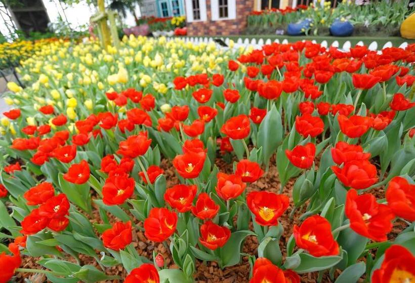 Play La Ploen Boutique Resort