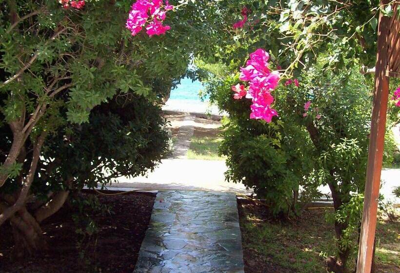 Saint Nicolas Bungalows