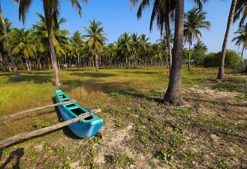 The Calm Resort & Spa