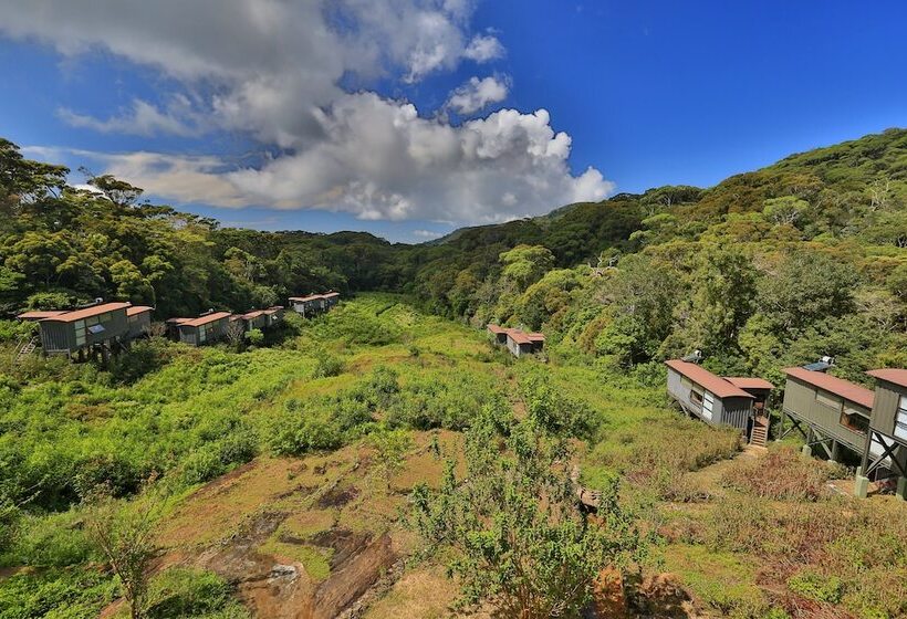 The Rainforest Ecolodge