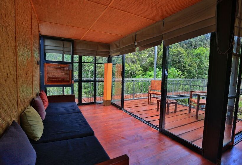 The Rainforest Ecolodge