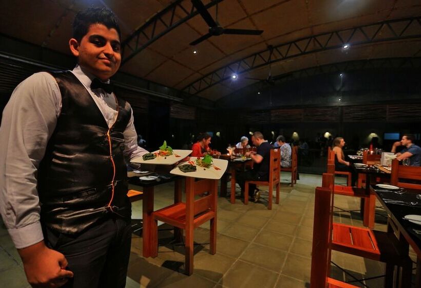 The Rainforest Ecolodge