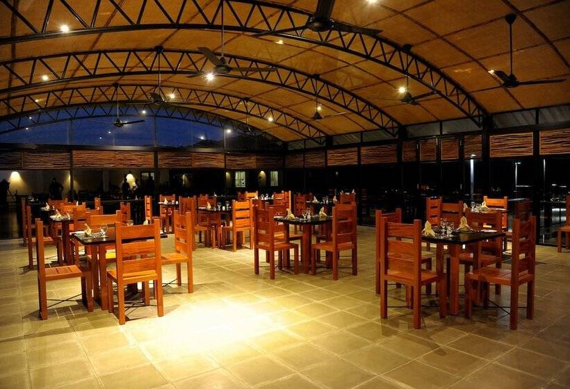 The Rainforest Ecolodge