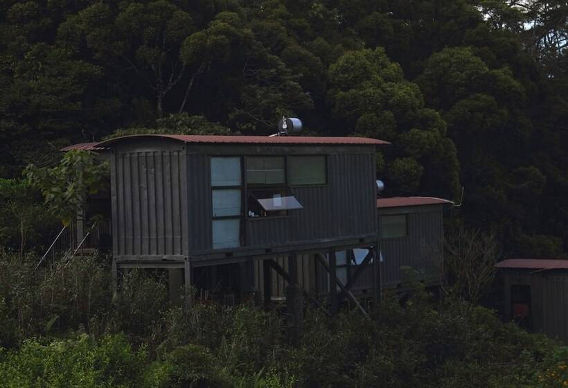 The Rainforest Ecolodge