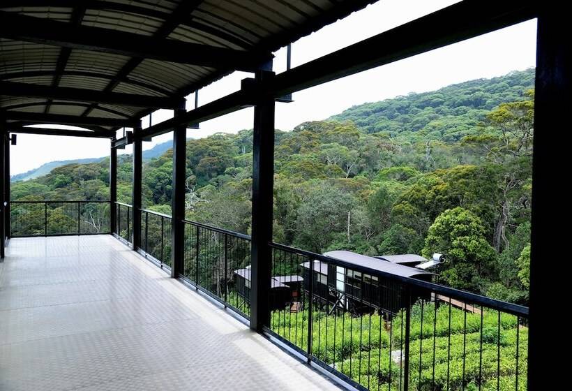 The Rainforest Ecolodge