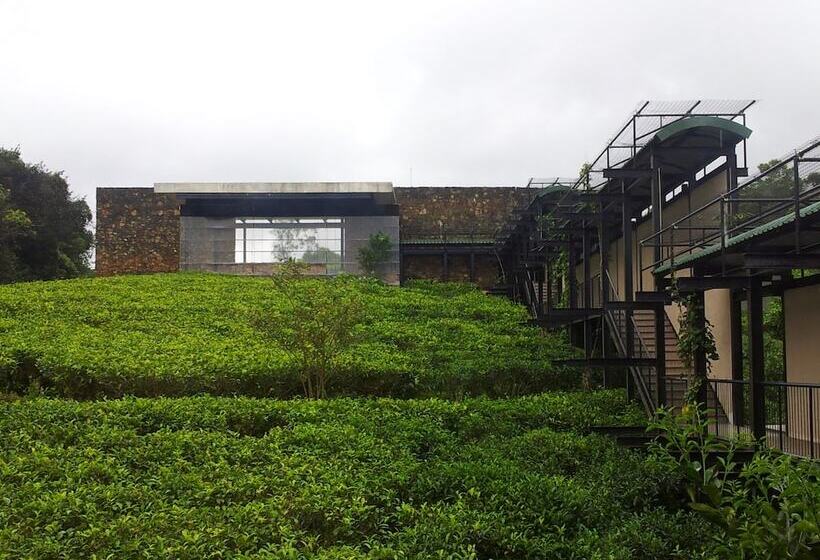 The Rainforest Ecolodge