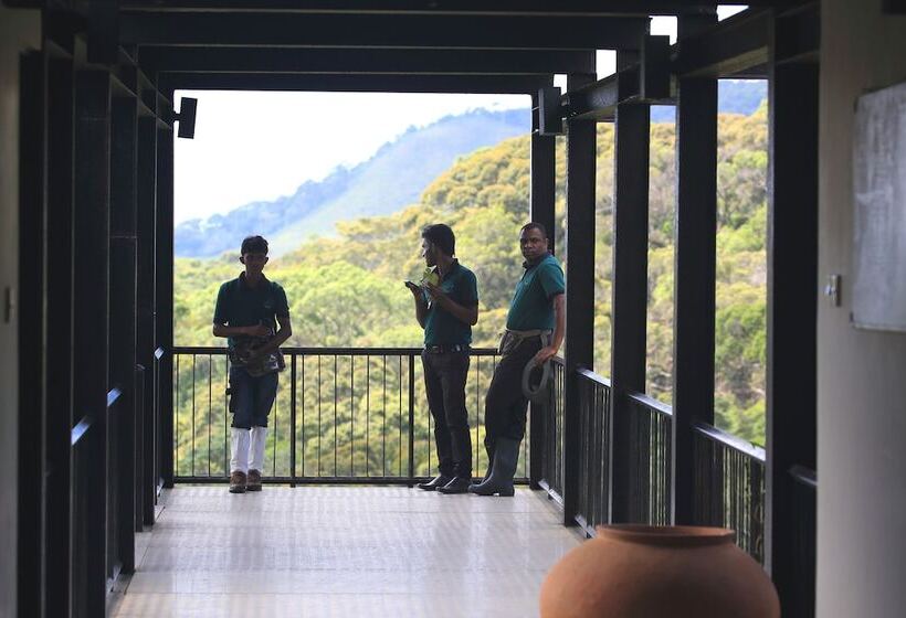 The Rainforest Ecolodge