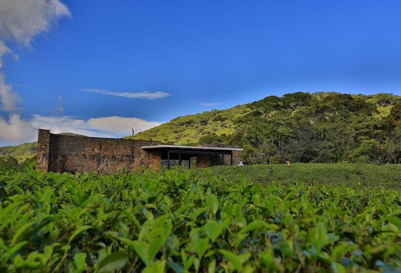 The Rainforest Ecolodge