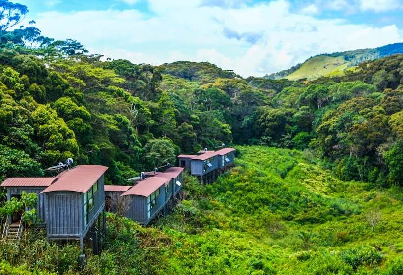 The Rainforest Ecolodge