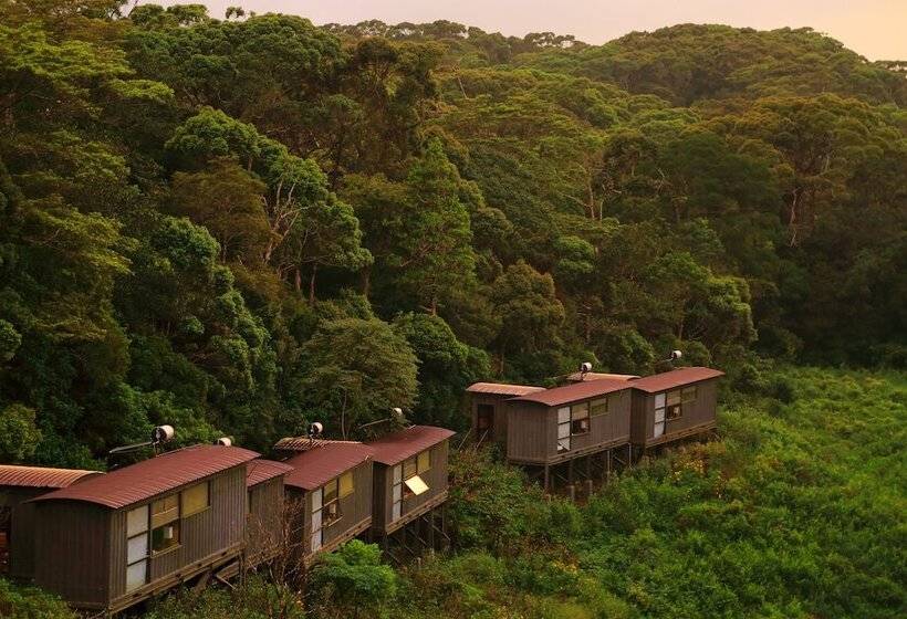 The Rainforest Ecolodge