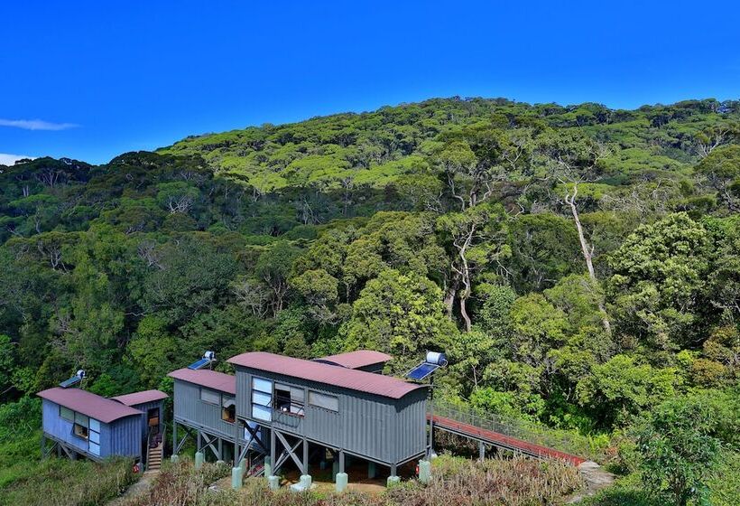 The Rainforest Ecolodge