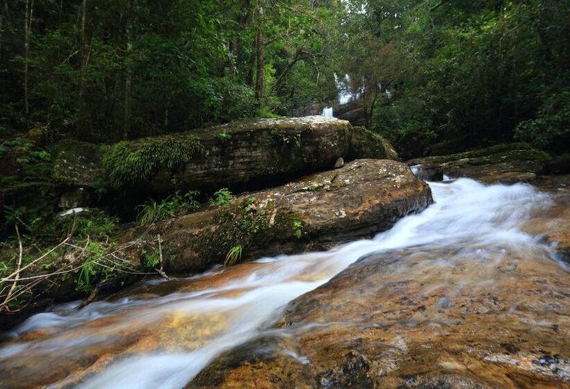 The Rainforest Ecolodge