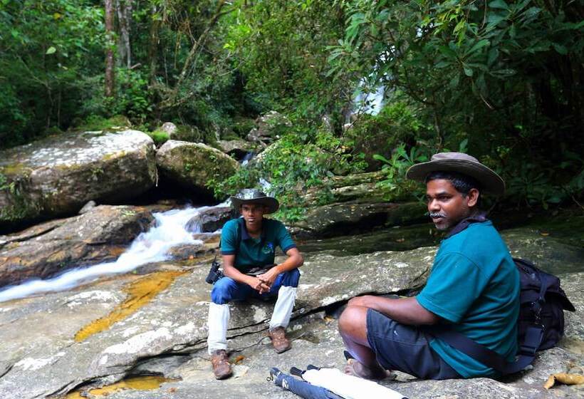 The Rainforest Ecolodge