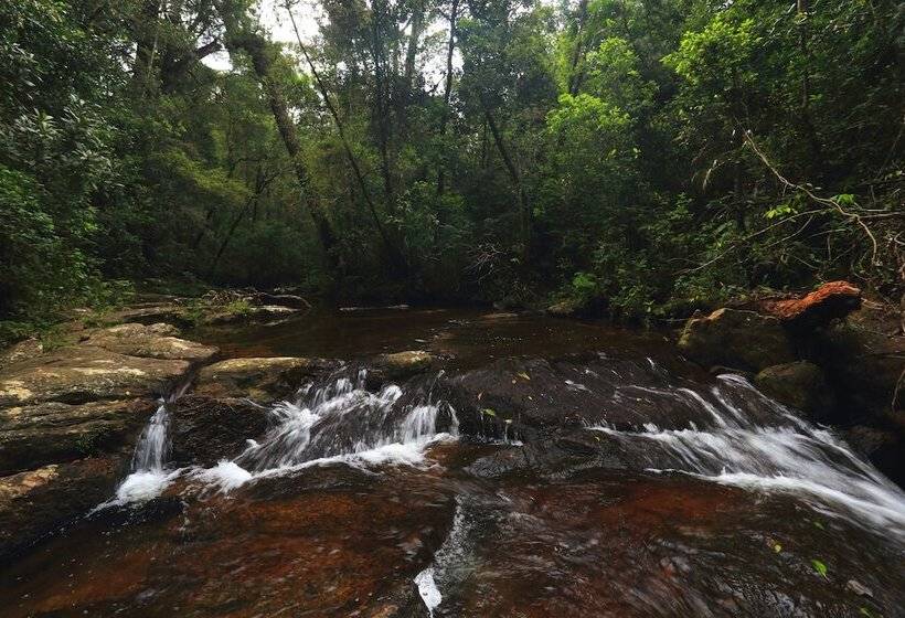 The Rainforest Ecolodge