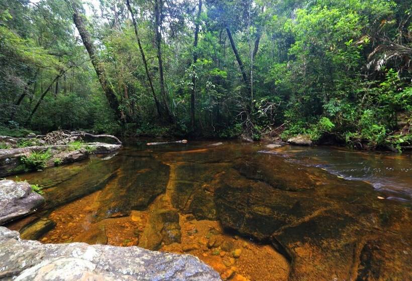 The Rainforest Ecolodge