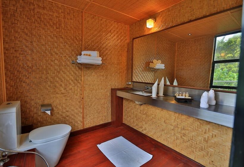 The Rainforest Ecolodge