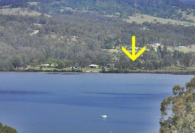 Top Of The Lake Units