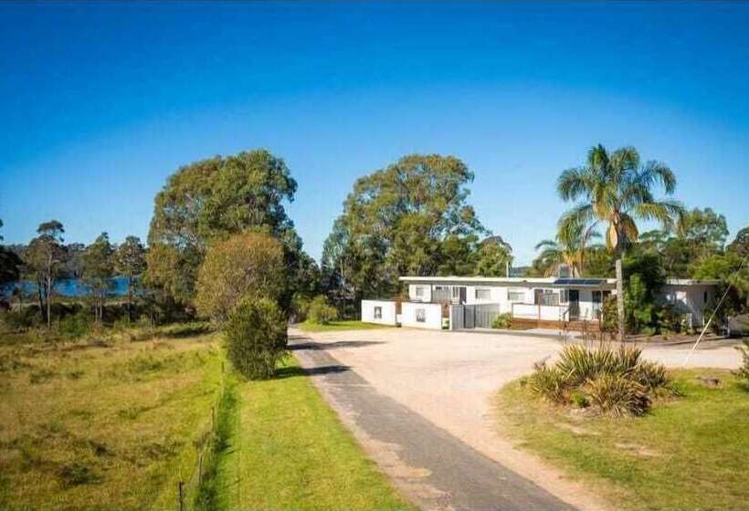 Top Of The Lake Units