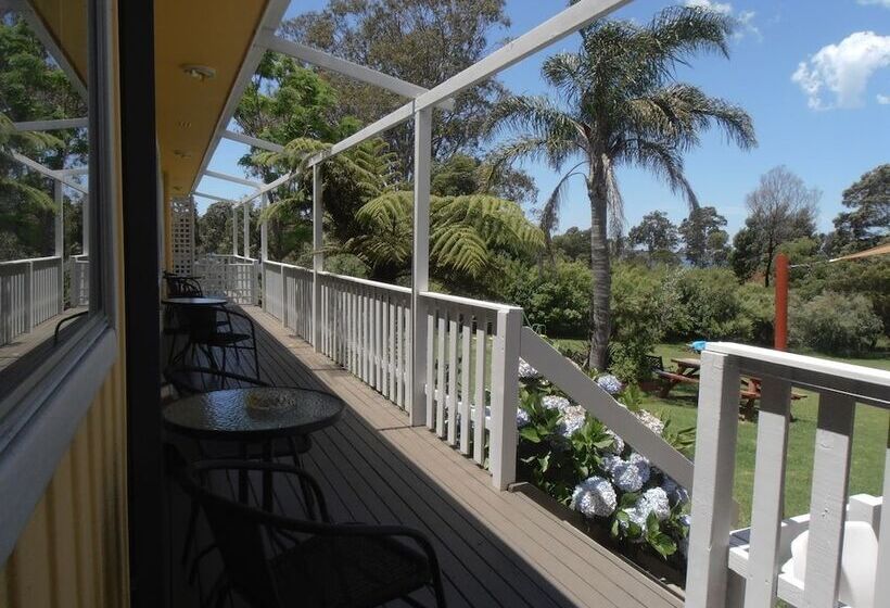 Top Of The Lake Units