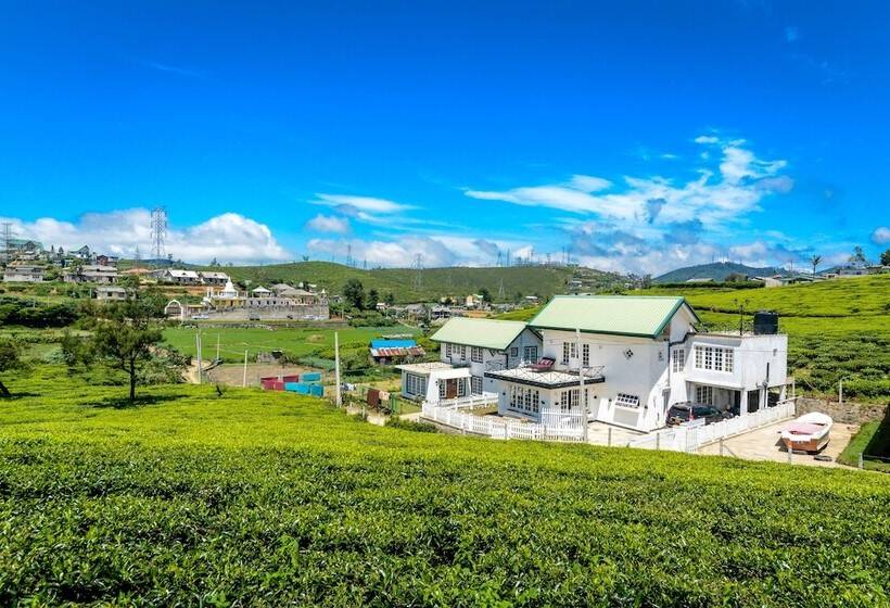 Villa Tea Fields