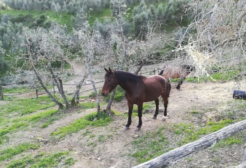 Agriturismo La Forra