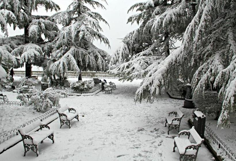 旅馆 Sicily Rooms Enna