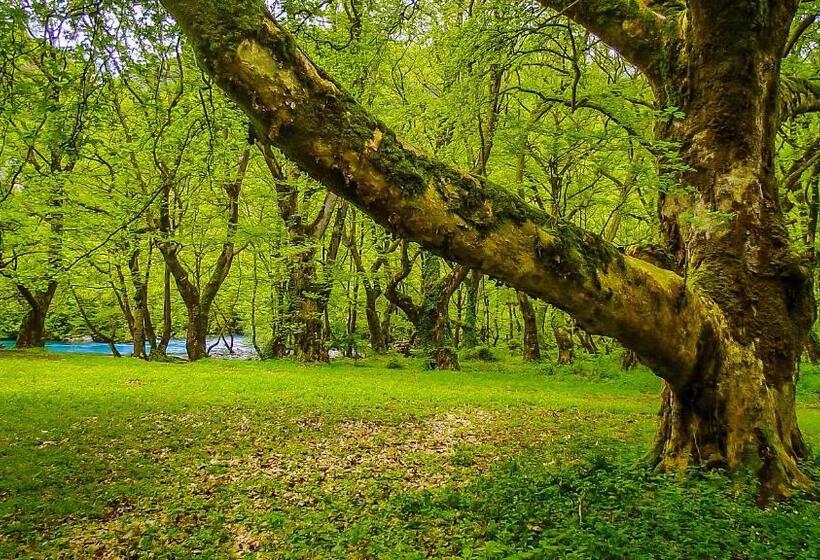 Dilofo Hotel Luxury Suites