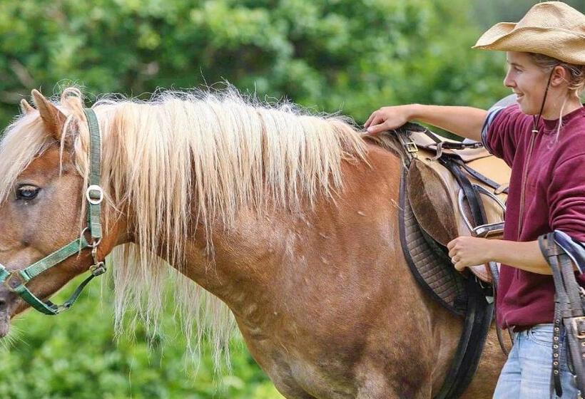 Dilofo Hotel Luxury Suites