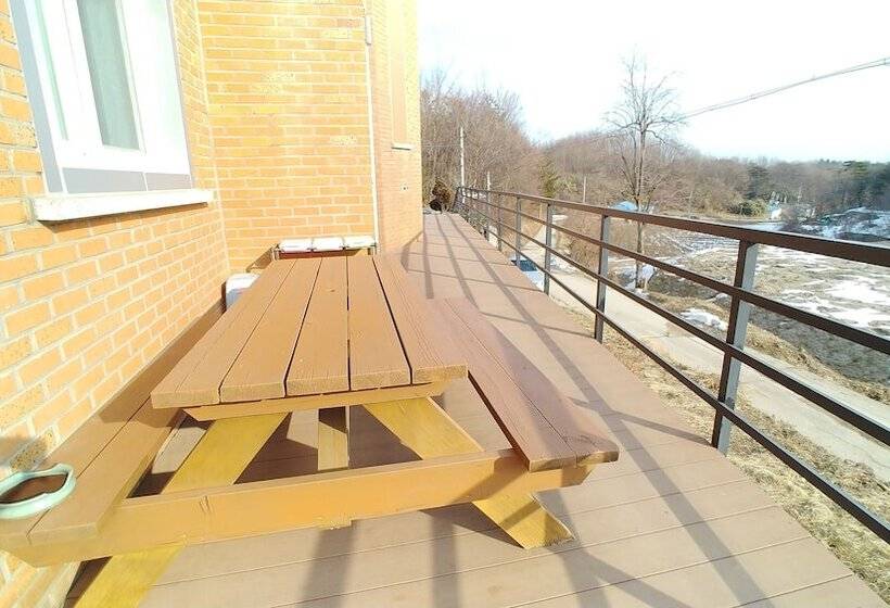 Пансион Starrynights