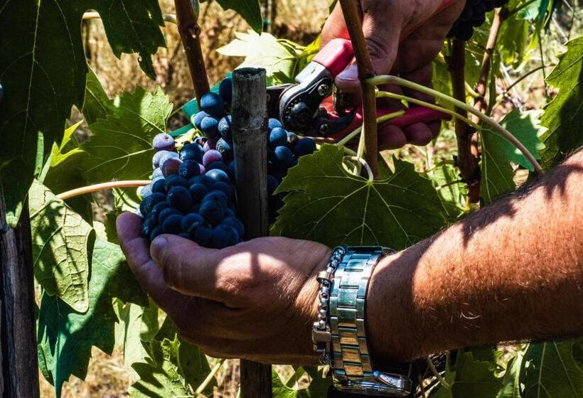 Отель Agriturismo La Camporena