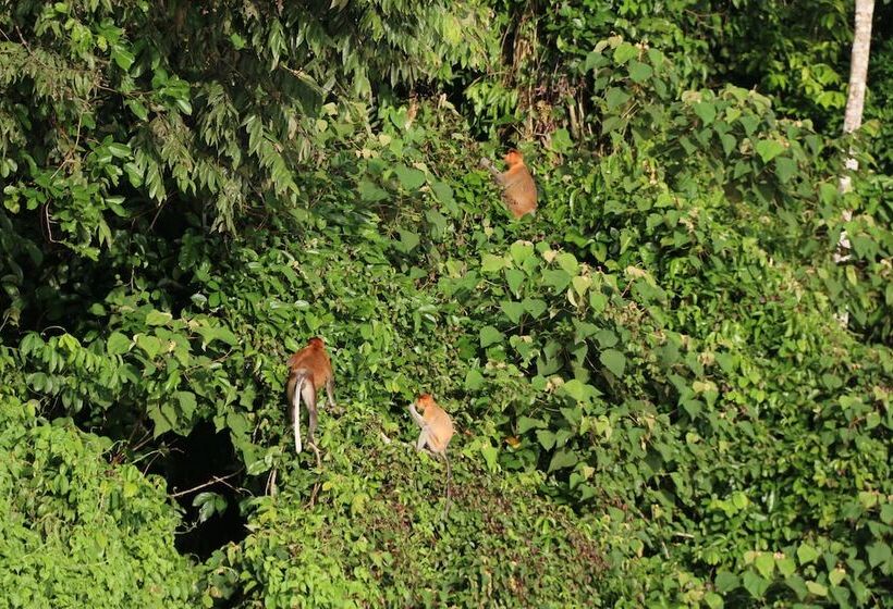 فندق Borneo Natural Sukau Bilit Resort