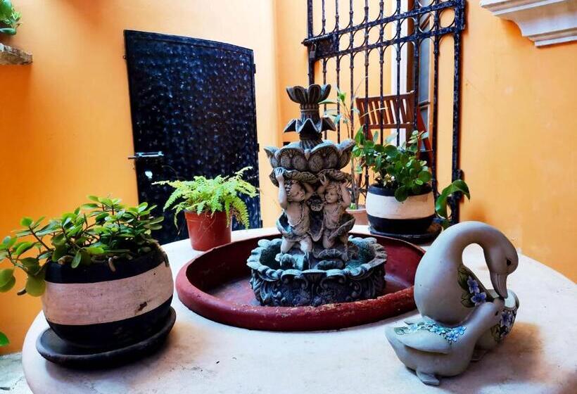 酒店 Casa Mallorca