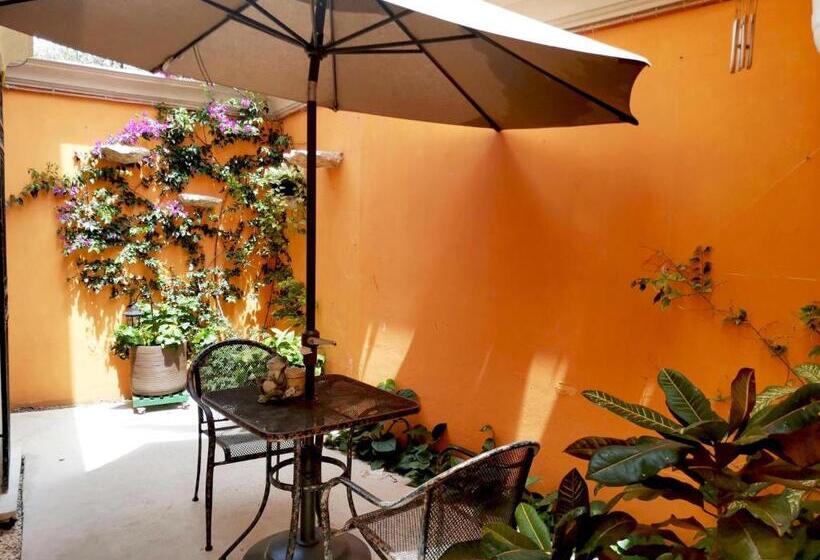 酒店 Casa Mallorca