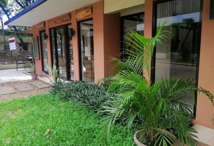 Отель Coron Ecolodge