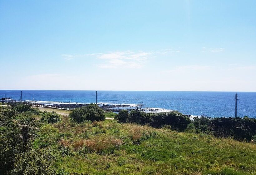 Hotel Jeju Lasania Castle Resort