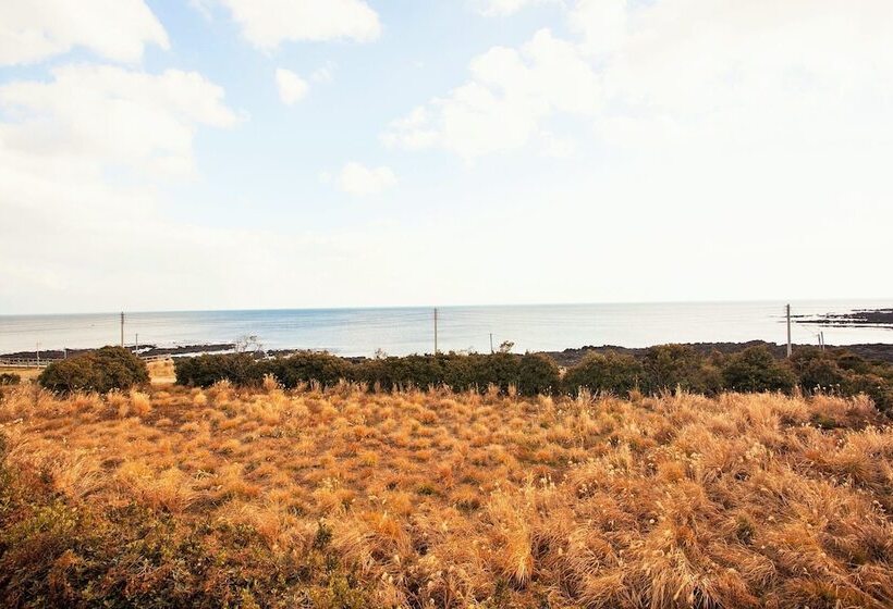 Hotel Jeju Lasania Castle Resort