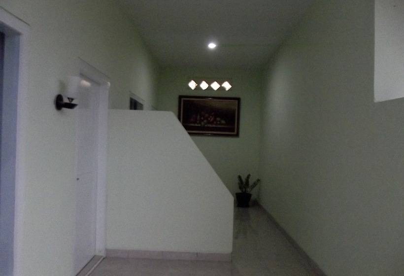 호텔 Komodo Boutique