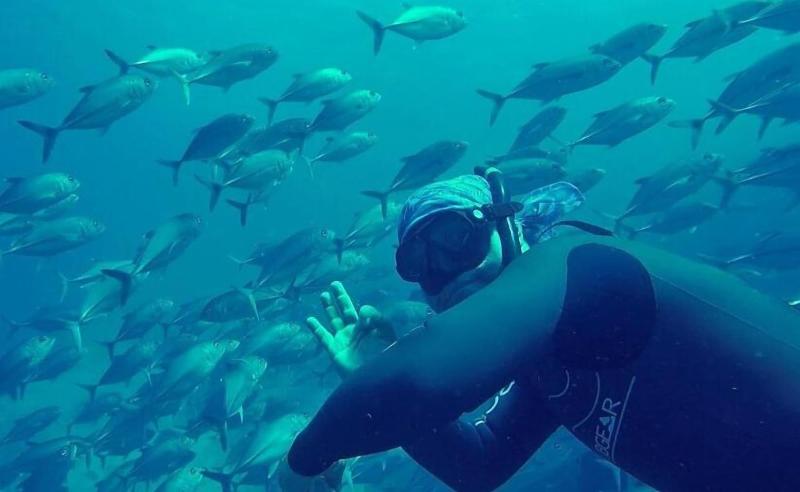 فندق Kurma Eco Beach Lodge