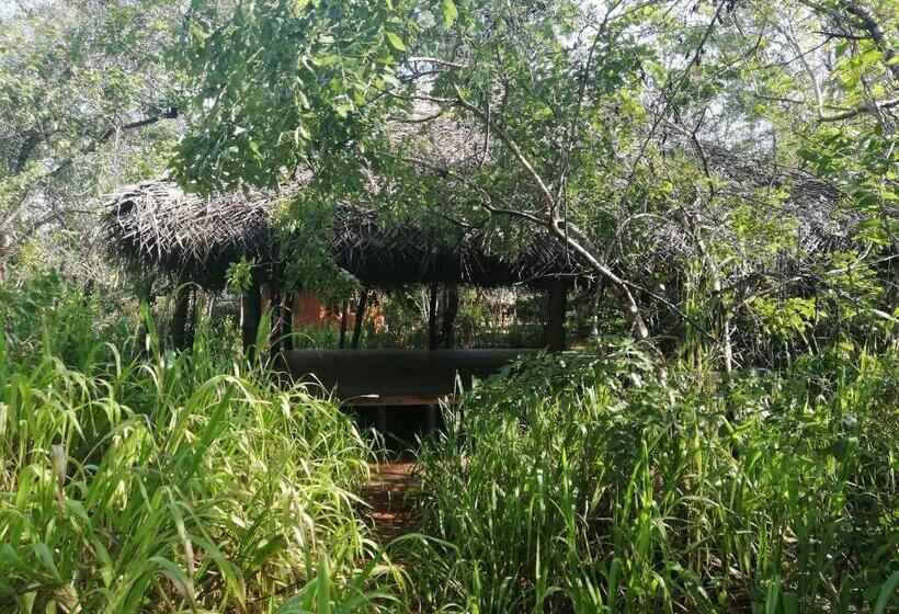 호텔 Kuwera Eco Lodge