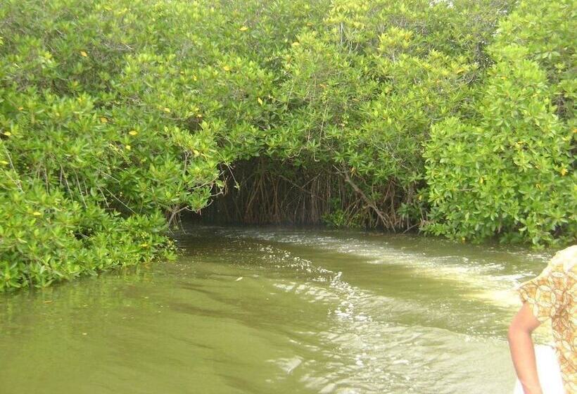 酒店 Maduganga Villa Amazing Island Resort