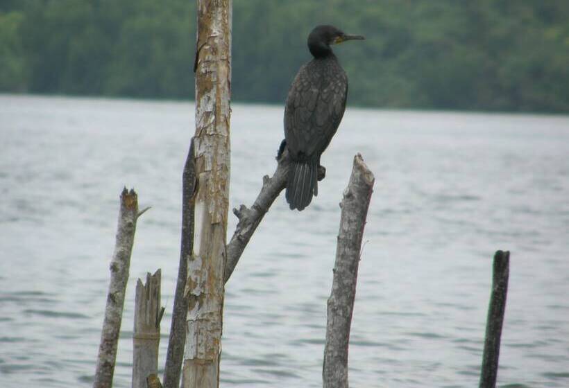 酒店 Maduganga Villa Amazing Island Resort