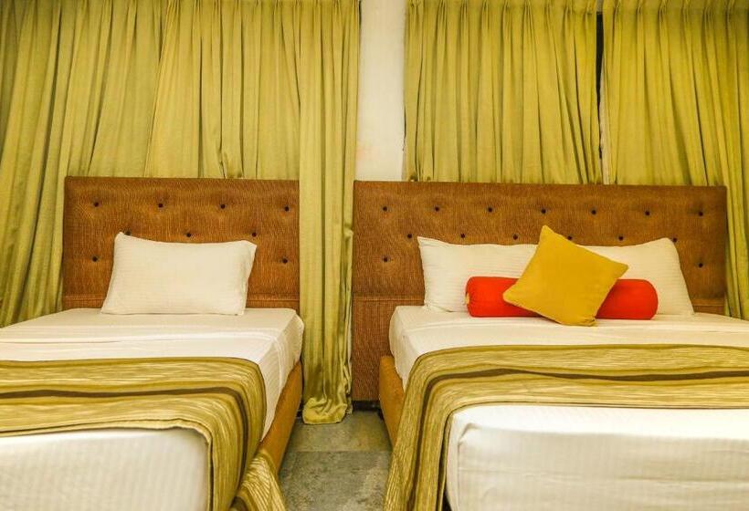 בית מלון כפרי Oak Ray City